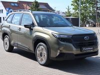 Neu Subaru Forester Trend 136 PS (100 kW) 2025 Grün SUV