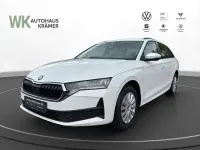 Gebraucht Skoda Octavia Essence 116 PS (85 kW) 2026 Weiss Kombi