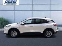 Gebraucht Ford Kuga Titanium 190 PS (139 kW) 2020 Arktisweiß (metallic) SUV