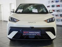 Neu BYD Dolphin Surf Active 2026 Weiß Kleinwagen