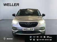 Gebraucht Opel Grandland X 131 PS (96 kW) 2020 Grau SUV