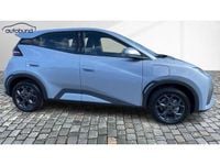 Neu BYD Dolphin Boost 64 kW (88 PS) 2025 Kleinwagen
