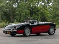 Gebraucht Austin Healey 100 110 PS (80 kW) 1955 Schwarz Cabrio