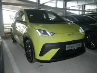 Neu BYD Dolphin Boost 64 kW (88 PS) 2026 Grün Kleinwagen