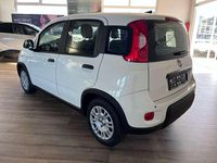 Gebraucht Fiat Panda 69 PS (50 kW) 2024 Gelato weiss Kleinwagen
