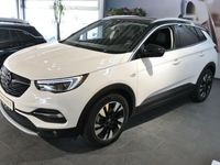 Gebraucht Opel Grandland X Ultimate 131 PS (96 kW) 2020 Weiß metallic SUV