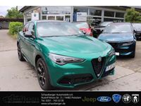 Gebraucht Alfa Romeo Stelvio 280 PS (205 kW) 2025 Gruen SUV