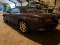 Gebraucht Jaguar XK 284 PS (208 kW) 1999 Violet Cabrio