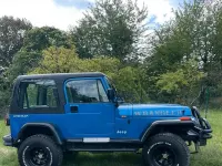 Gebraucht Jeep Wrangler 177 PS (130 kW) 1992 Blau SUV