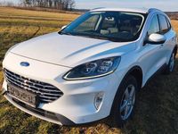 Gebraucht Ford Kuga Titanium X 150 PS (110 kW) 2020 Weiß SUV