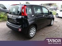 Neu Fiat Panda 69 PS (50 kW) 2025 Schwarz Limousine