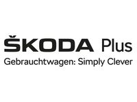 Gebraucht Skoda Octavia 150 PS (110 kW) 2026 Graphitegrau metallic Kombi