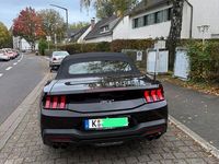 Gebraucht Ford Mustang GT 446 PS (328 kW) 2024 Schwarz Cabrio