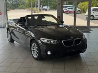 Gebraucht BMW 218 Advantage 136 PS (100 kW) 2018 Braun Cabrio
