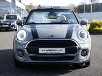 Gebraucht Mini One Cabriolet 102 PS (75 kW) 2020 Grau Cabrio