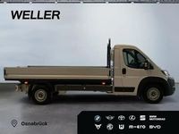 Neu Toyota Proace 140 PS (102 kW) 2026 Weiss Van / Kleinbus