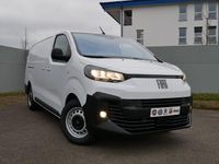 Neu Fiat Scudo Comfort 144 PS (105 kW) 2025 Weiß Van