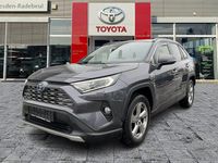 Gebraucht Toyota RAV4 Hybrid Lounge 222 PS (163 kW) 2019 Grey metallic SUV