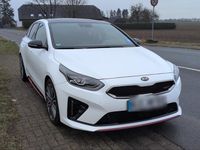 Gebraucht Kia ProCeed GT 204 PS (150 kW) 2019 Weiß Kombi