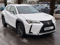 Gebraucht Lexus UX 250h Launch Edition 145 PS (106 kW) 2019 Weiß SUV