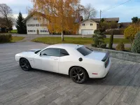Usata Dodge Challenger 377 CV (277 kW) 2019 Bianco Coupé
