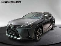 Second-hand Lexus UX 2023 Gri SUV