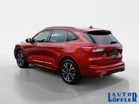 Gebraucht Ford Kuga ST-Line X 152 PS (111 kW) 2022 Rot SUV