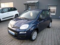 gebraucht Fiat Panda 1.2 8V Easy *HU+INSP.+ALLWETTER-RF.NEU*