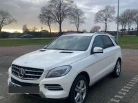 Gebraucht Mercedes ML350 258 PS (189 kW) 2013 Weiß SUV