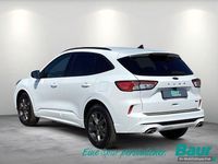 Gebraucht Ford Kuga ST-Line X 224 PS (164 kW) 2022 Weiß SUV