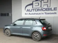 Gebraucht Skoda Fabia Active 75 PS (55 kW) 2019 Grau Kleinwagen