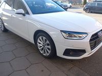 Gebraucht Audi A4 204 PS (150 kW) 2024 Arkonaweiß Kombi