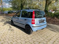 Second-hand Fiat Panda 60 CP (44 kW) 2009 Albastru Hatchback
