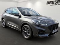 Gebraucht Ford Kuga ST-Line X 151 PS (111 kW) 2020 Grau SUV
