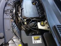 Gebraucht Ford Kuga Cool & Connect 120 PS (88 kW) 2018 Grau SUV