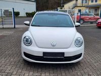 gebraucht VW Beetle 1.6 TDI DPF,PANORAMA,NAVI,KLIMA