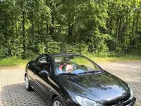 Gebraucht Peugeot 206 CC 109 PS (80 kW) 2003 Schwarz Cabrio