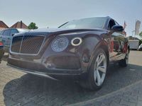 gebraucht Bentley Bentayga 4.0 V8 4WD *100 Jahre Edition*360°*NAVI
