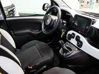 Neu Fiat Panda Cross Cross 69 PS (50 kW) 2025 Grün Kleinwagen