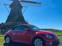 Gebraucht VW Beetle 2014 Rot Kleinwagen