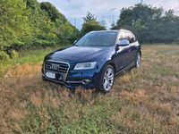 Gebraucht Audi SQ5 313 PS (230 kW) 2013 Blau SUV