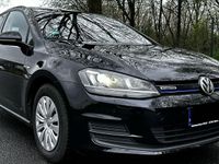 gebraucht VW Golf VII 