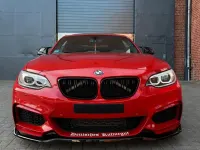 Gebraucht BMW 228 M Sport 245 PS (180 kW) 2015 Rot Coupé