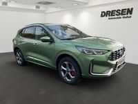Gebraucht Ford Kuga ST-Line X 224 PS (164 kW) 2024 Gruen SUV