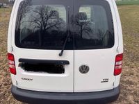 Gebraucht VW Caddy 102 PS (75 kW) 2016 Weiß Van / Kleinbus