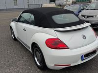 Gebraucht VW Beetle 105 PS (77 kW) 2015 Weiß Kleinwagen