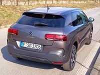 Gebraucht Citroën C4 Cactus Shine 110 PS (80 kW) 2020 Kleinwagen