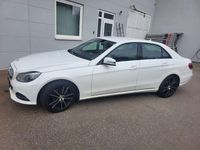 Gebraucht Mercedes E220 Edition 170 PS (125 kW) 2014 Weiß Limousine