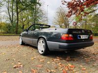 gebraucht Mercedes E300 CE CE-Klasse CE-24