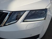 gebraucht Skoda Octavia Combi 2.0 TSI 4x4 DSG Standheiz Navi